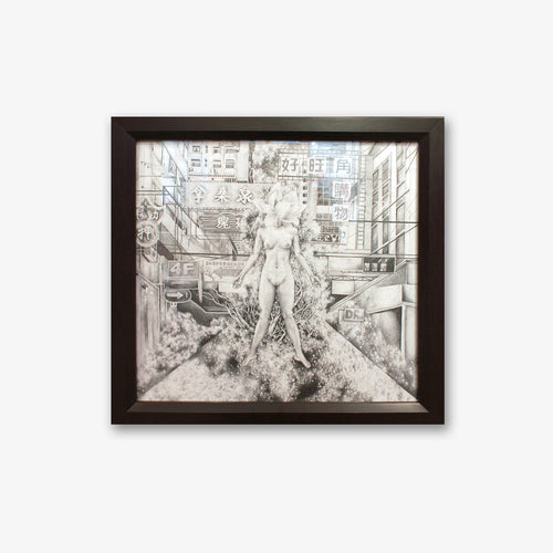 Aeropalmics - Rebirth (framed) - Kultmarket