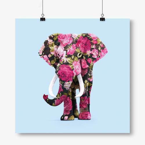 Paul Fuentes - Elephant - Kultmarket