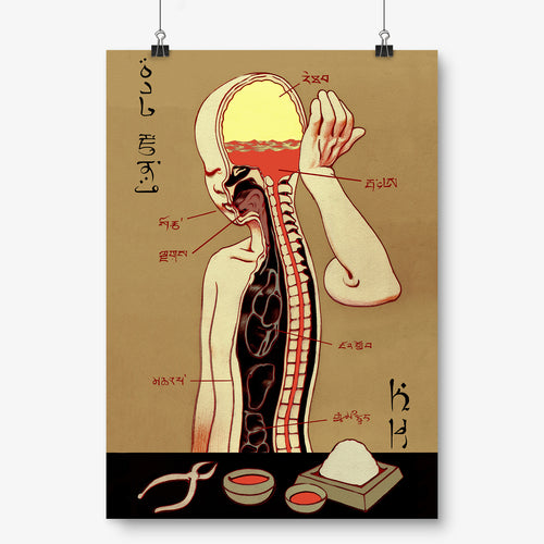 Kevin Hong - Anatomical Chart - Kultmarket